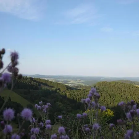 Gemuetliche In Apartamento Medebach