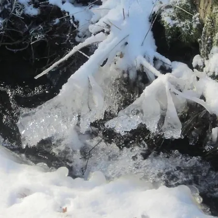 Gemuetliche In Apartament