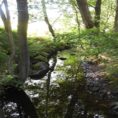 Gemuetliche In Medebach