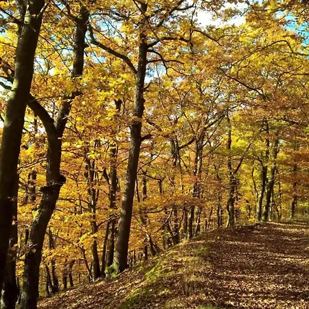 Apartament Gemuetliche In *