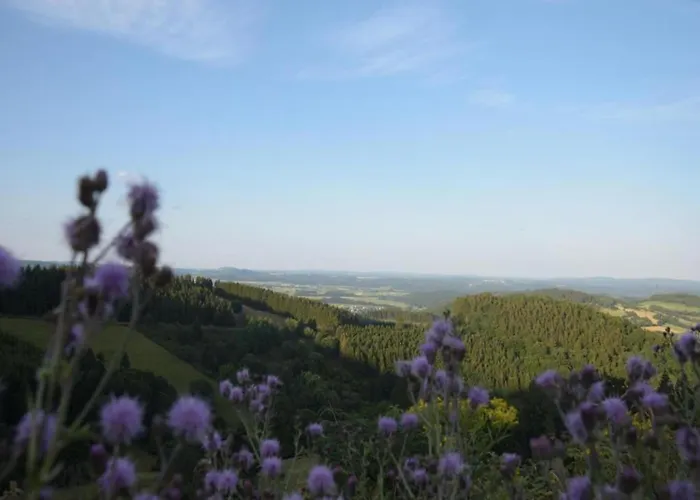 Gemuetliche In Апартаменты Медебах