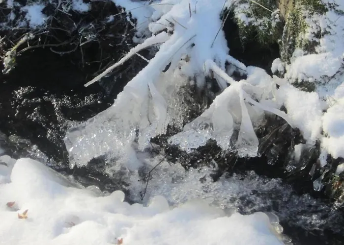 Gemuetliche In アパート