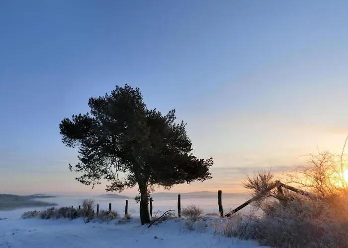 アパート Gemuetliche In メーデバッハ