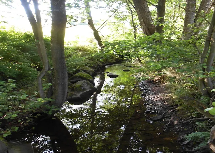 Gemuetliche In מדבאך