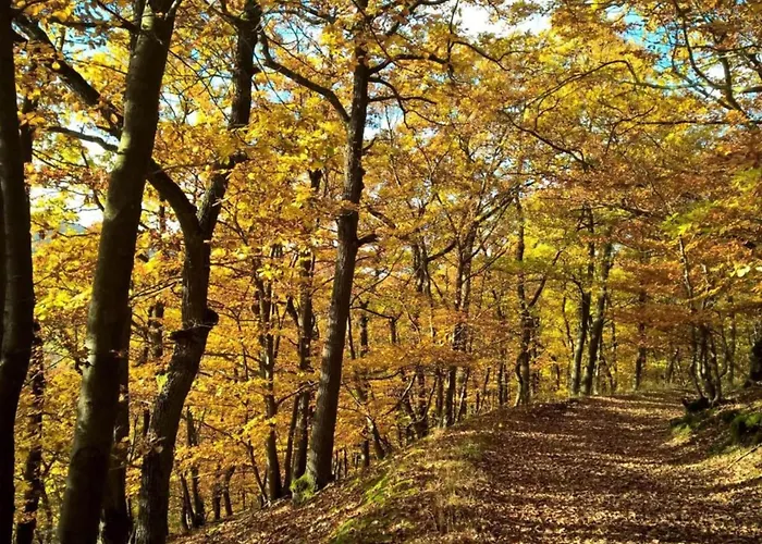 דירה Gemuetliche In *